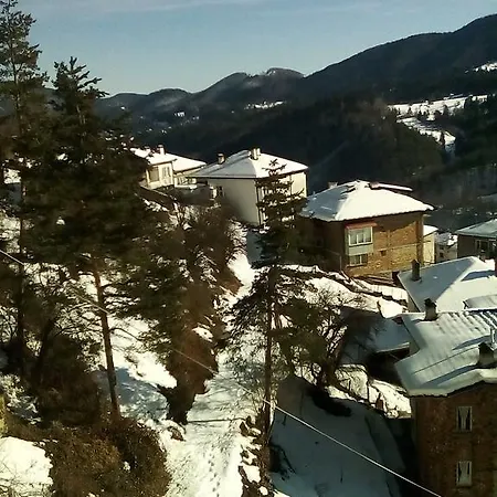 Snezhanka Konukevi *
