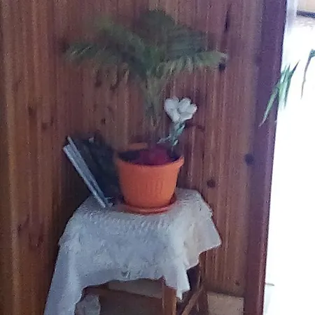 Snezhanka Konukevi *
