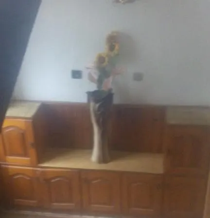 Konukevi Snezhanka Paşmaklı